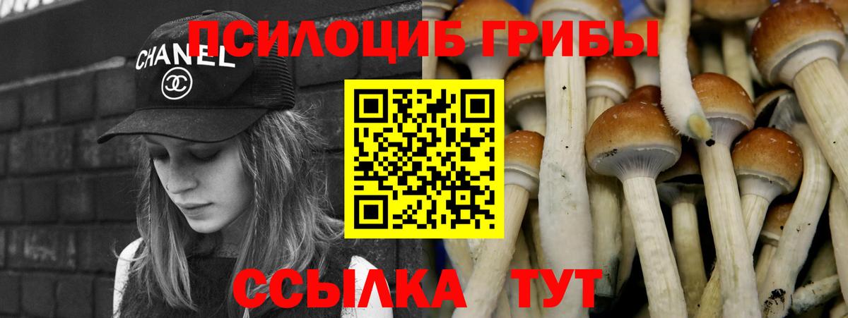 Будённовск  Псилоцибиновые грибы Psilocybine cubensis  где можно купить наркотик  Вход с VPN  Галлюциногенные грибы ЛСД 