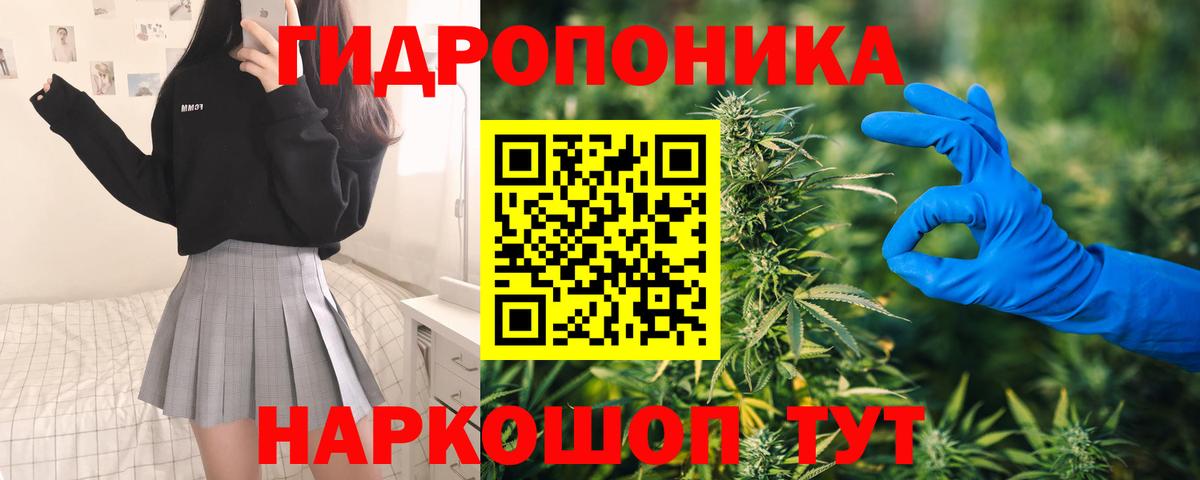 Канабис гибрид Будённовск